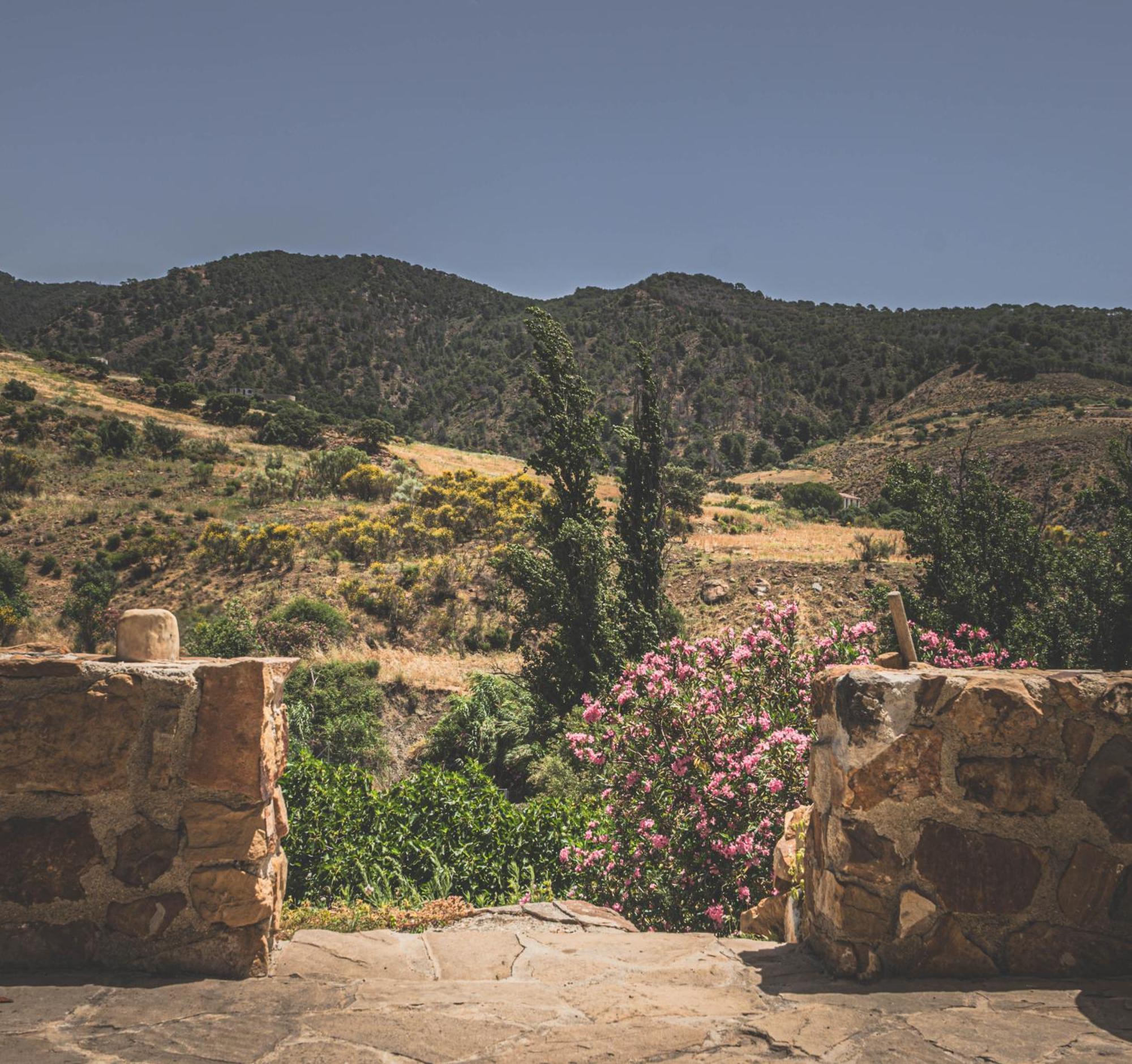El Bufon De La Corte Carratraca Exteriér fotografie